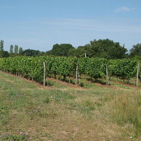 Le Logis Du Livier Hotel Saint-Georges-sur-Layon Bagian luar foto